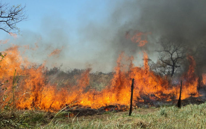 incendio forestal