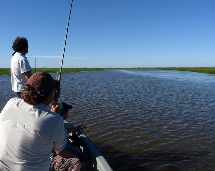 Pesca deportiva